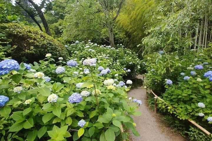 Kamakura and Eastern Kyoto with Lots of Temples and Shrines — photo 6
