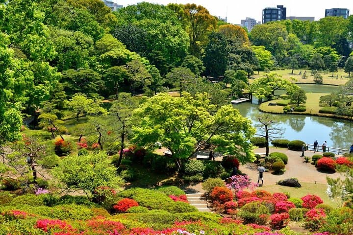 Off the beaten path special in Tokyo by walking — photo 4