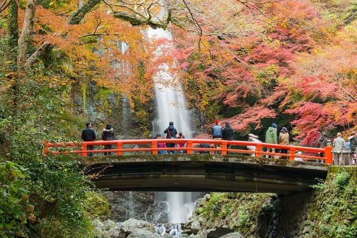 Osaka Private Food Tours by Local Foodies: 100% Personalized — photo 8