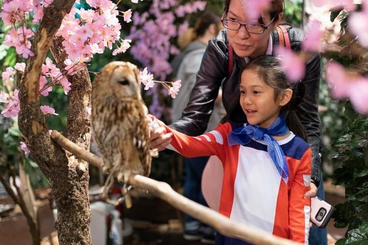 Private Tokyo Family Tour with a Local – 100% Personalized — photo 8