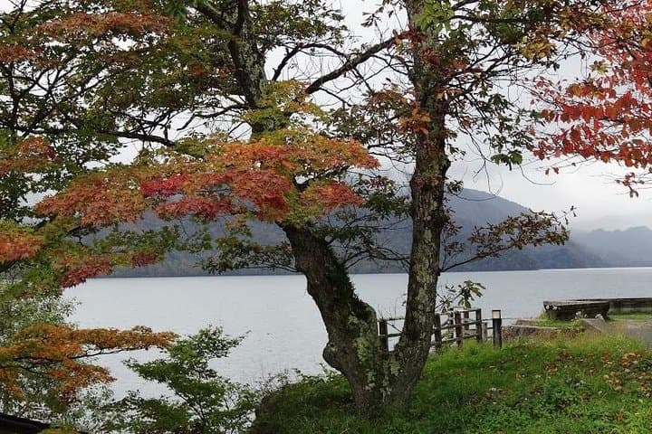 Daytrip to Nikko from Tokyo with local Japanese Photograher guide — photo 5