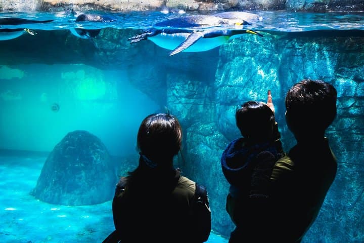 Yokohama Private Family Tour with a Local, Customized & Flexible — photo 3