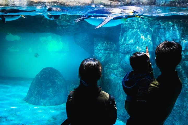 Yokohama Like a Local: Private & Personalized Experience 2,3 hrs — photo 4