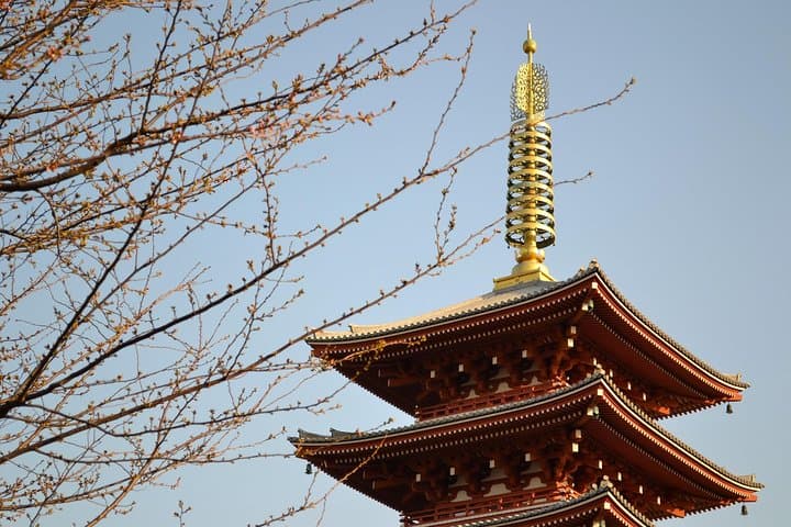 Tokyo Asakusa Traditions: Temples & Shrines — photo 7