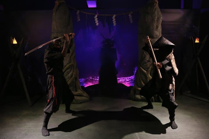 Ninja Lesson in Tokyo – 1 Hour Hands-On with Japanese Master — photo 5