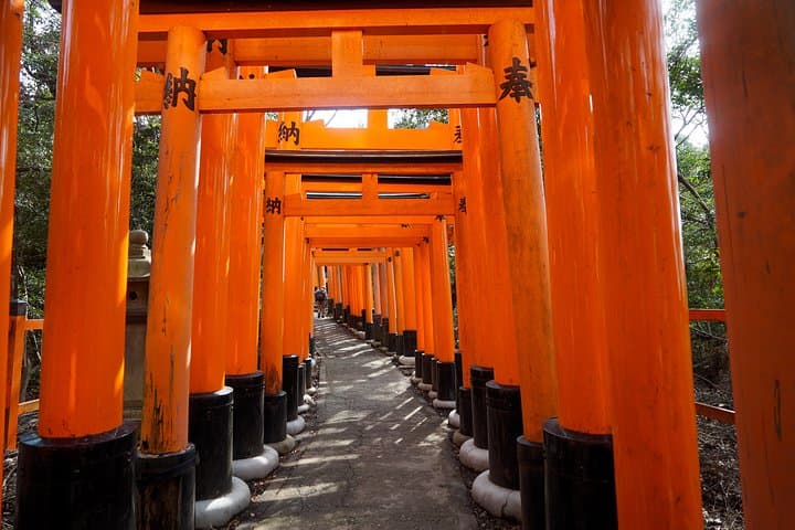 Fushimi Inari Hidden Hiking Tour (Private Option Available) — photo 19