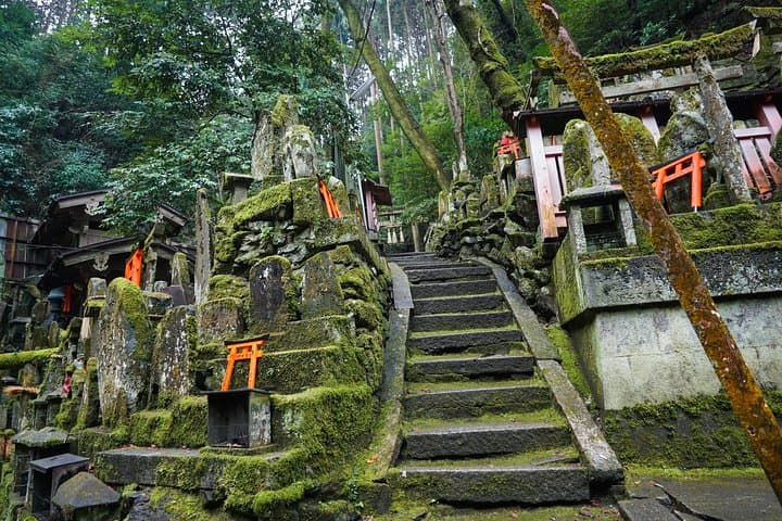 Fushimi Inari Hidden Hiking Tour (Private Option Available) — photo 10