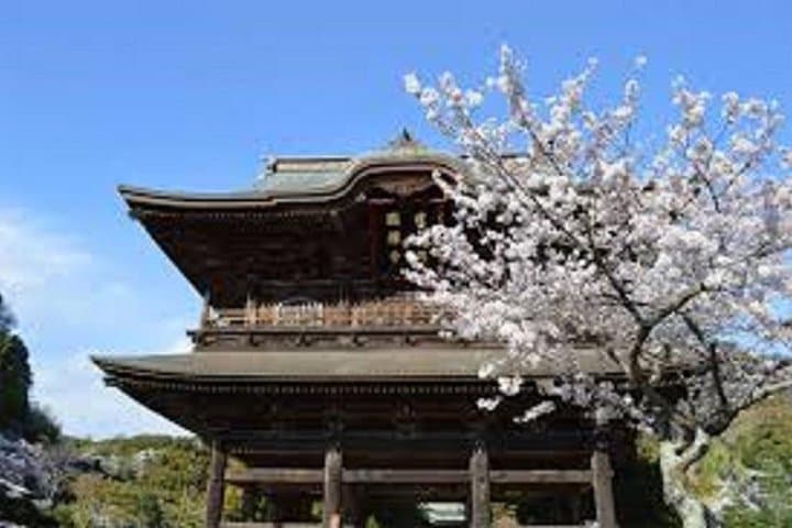 Kamakura Private Custom Tour — photo 3
