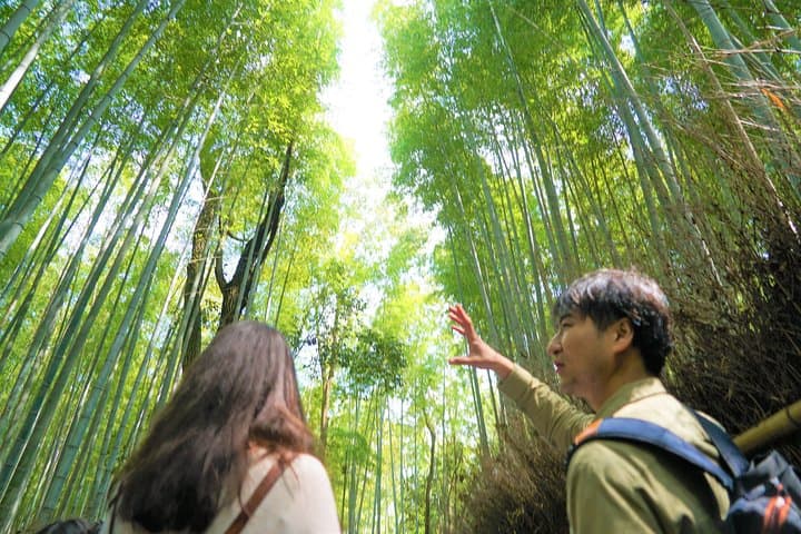 Kyoto Arashiyama Bamboo forest & Hidden Garden Walking Tour — photo 8