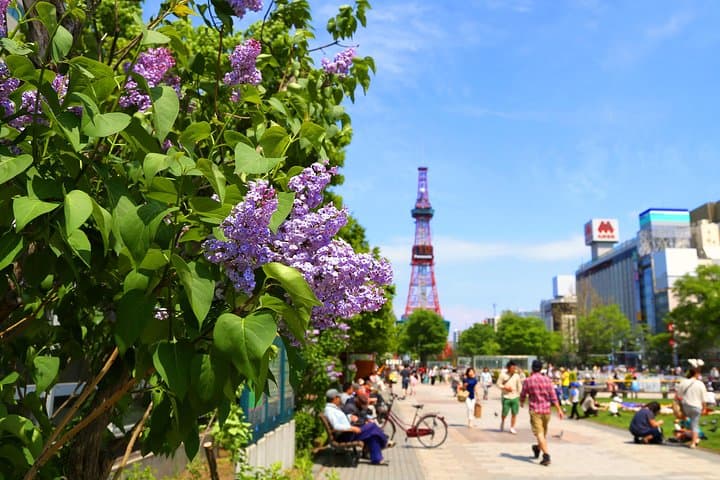 SkyExpress: Sapporo Customised Private Day Tour (Up to 15 Passengers) — photo 2