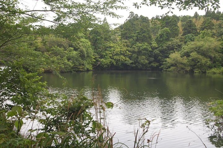 Rural Japan cycling tour to the rich nature area in Ichinomiya — photo 6