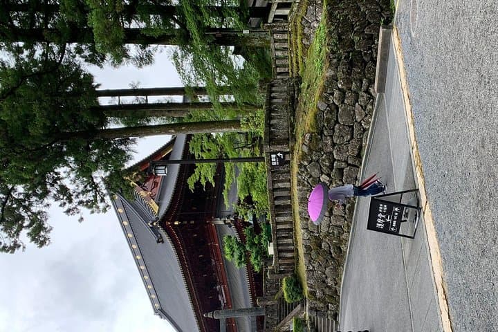 Nikko one day trip GREEN NUMBER PLATES — photo 4