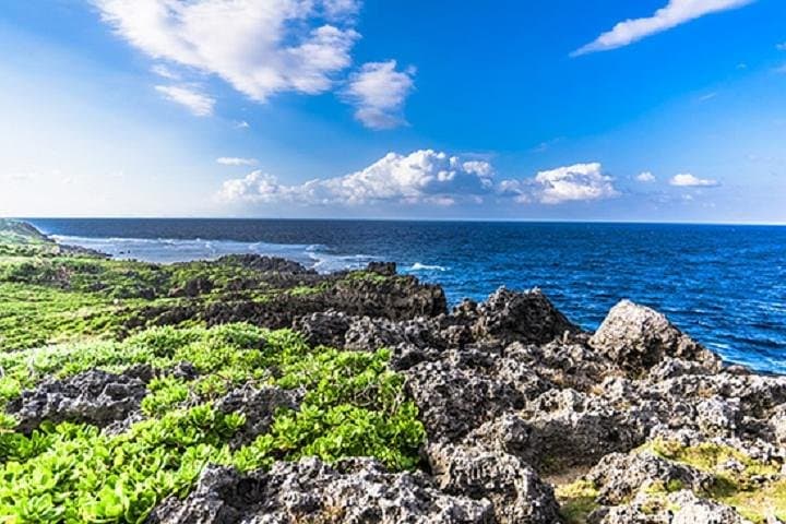 Okinawa Hip-Hop Bus C Course Tour to Northern Island — photo 4