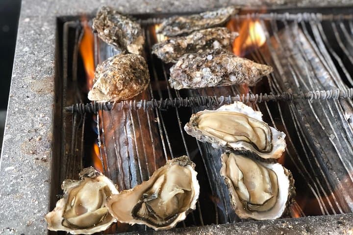 Best of Hiroshima Food Tour — photo 10