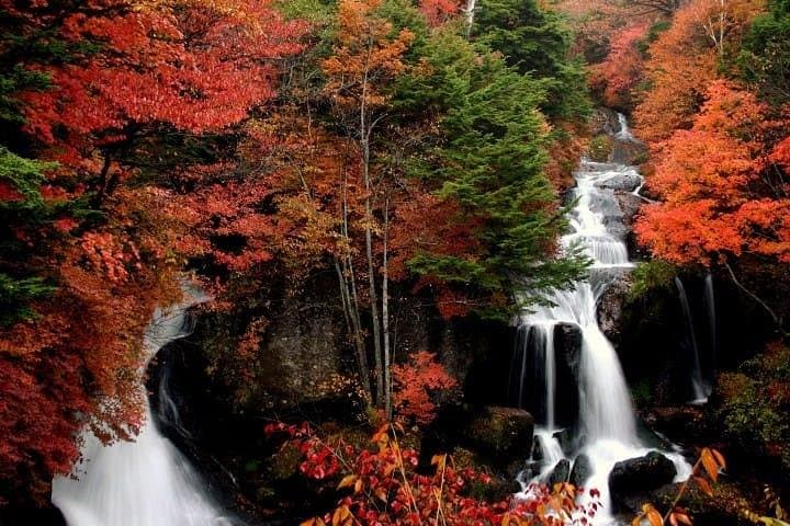 Nikko Full-Day Private Walking Tour with Government-Licensed Guide (Tokyo DEP.) — photo 18