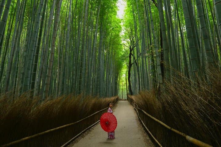 Japan Discovery Tour (12 Days) — photo 2