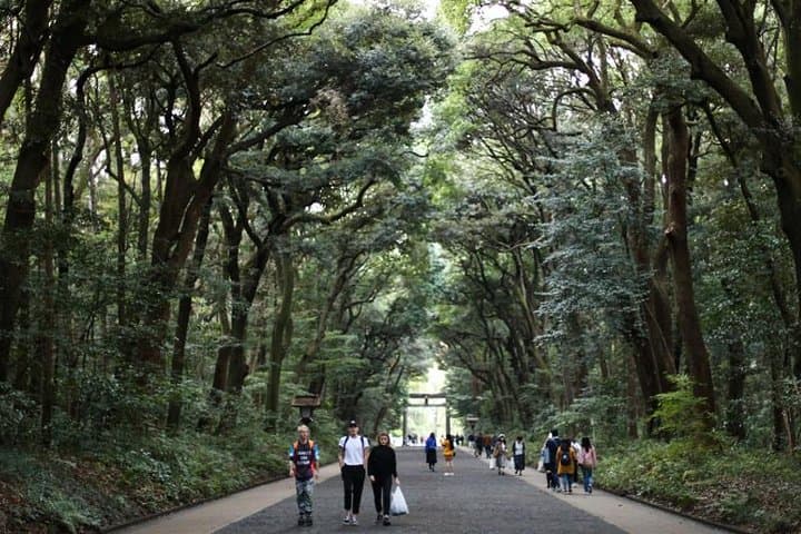 Japan Discovery Tour (12 Days) — photo 4