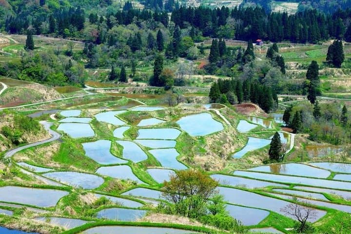 Japan Discovery Tour (12 Days) — photo 7