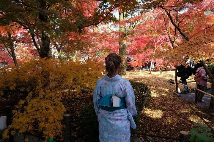 Kyoto First-Time Visitor Private & Personalized Walking Tour — photo 19