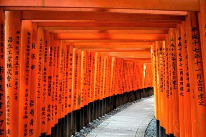 Kyoto Day Trip using Private Car with English Driver (up to 5) — photo 3