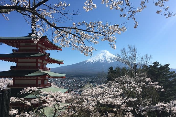 Mt Fuji Hidden Gem & Gotemba Premium Outlets with Local Driver — photo 16