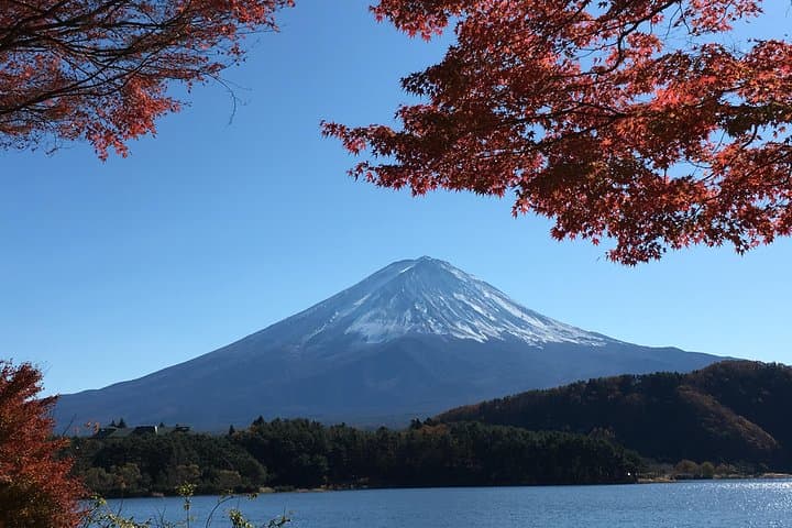 Mt Fuji Hidden Gem & Gotemba Premium Outlets with Local Driver — photo 9