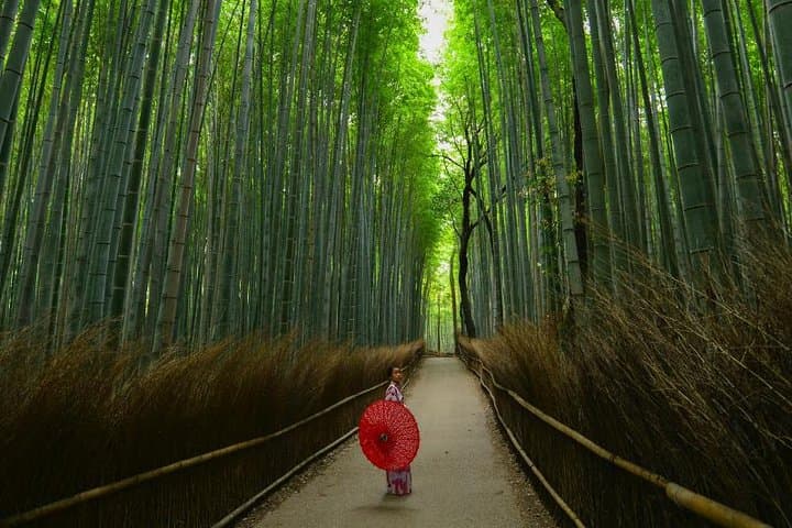 Japan Autumn & Winter Illuminations Discovery Tour (12 Days) — photo 10