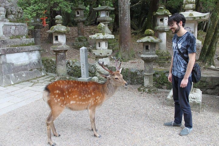 Nara - Highlights Bike Tour — photo 6