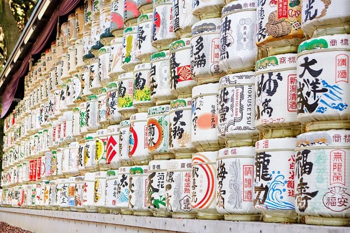 Half Day Sightseeing Tour in Tokyo — photo 17