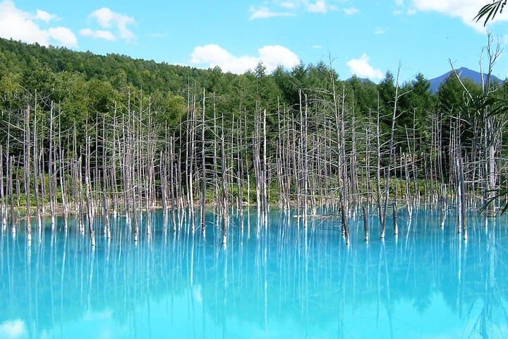 [Biei/Furano] One-day sightseeing by private car! — photo 2