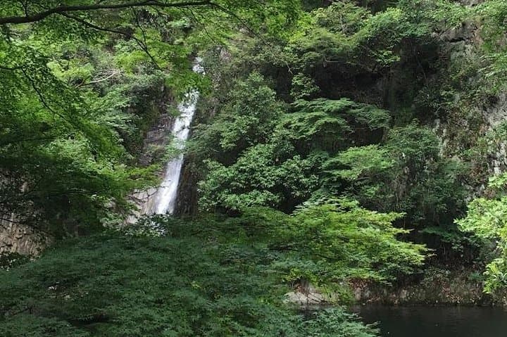 Kobe private tour from Osaka (Shore excursion available from Osaka or Kobe port) — photo 6