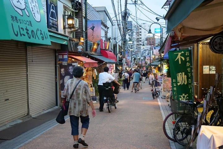Yanaka Historical Walking Tour in Tokyo's Old Town — photo 19