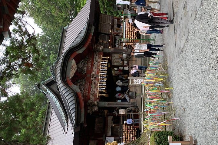 Nikko one day trip GREEN NUMBER PLATES — photo 8