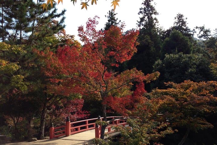 Miyajima full day tour — photo 3