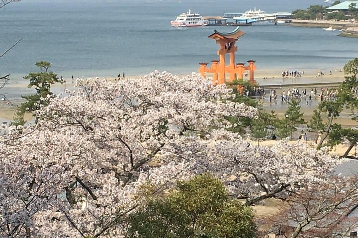 Miyajima full day tour — photo 7