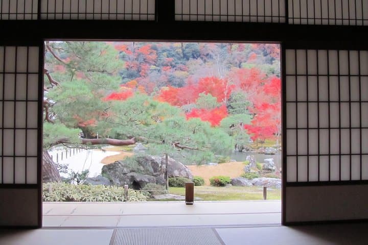 Kyoto Highlights: Arashiyama & Fushimi Inari by Private Car — photo 4