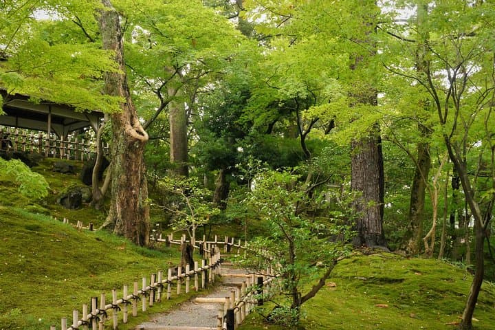 Kyoto Highlights: Arashiyama & Fushimi Inari by Private Car — photo 10