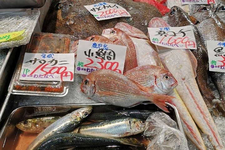 Tsukiji Fish Market: Behind the Scenes & 10 Seafood Tastings — photo 17