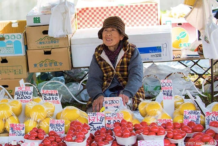 Experience the energy of Kochi: Sunday Market Tour includes Kochi Castle — photo 5