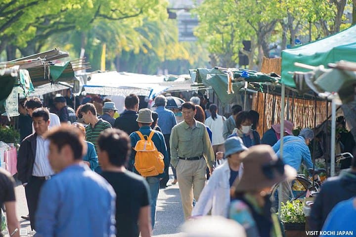 Experience the energy of Kochi: Sunday Market Tour includes Kochi Castle — photo 7