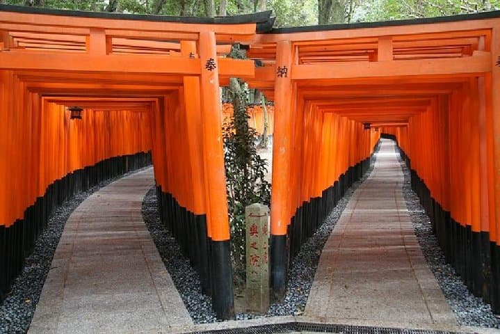 Kyoto Afternoon Tour from Kyoto or Osaka — photo 2