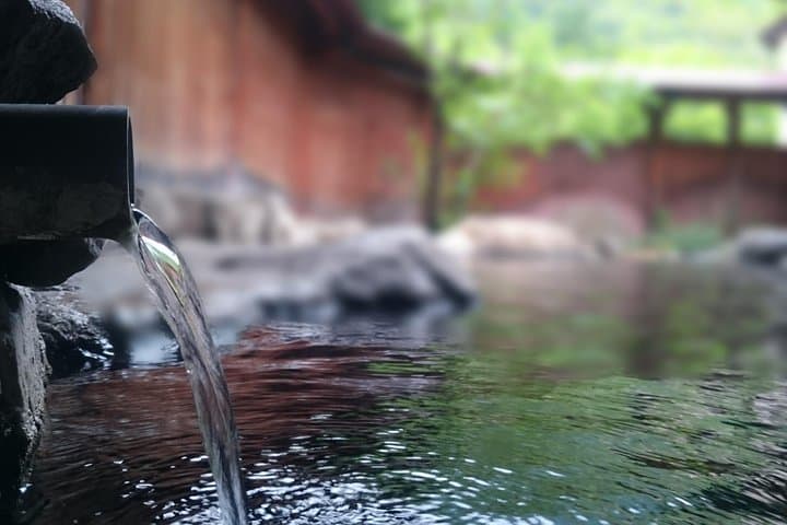Private Car Day Trip to the Kobe Mountains, Gardens and Hot Springs from Osaka — photo 5