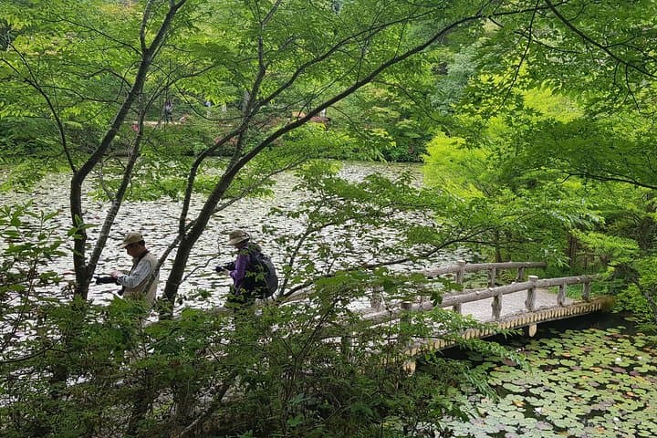 Private Car Day Trip to the Kobe Mountains, Gardens and Hot Springs from Osaka — photo 7
