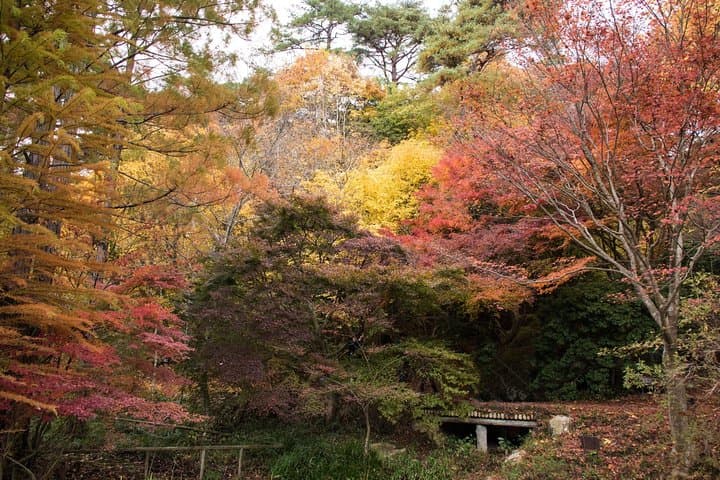 Private Car Day Trip to the Kobe Mountains, Gardens and Hot Springs from Osaka — photo 9