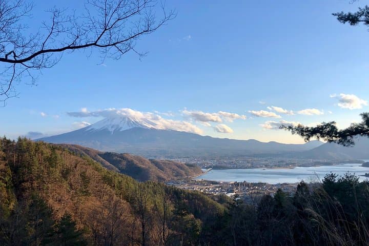 Mt Fuji Area Private Guided Tours in English-Nature up close, quiet, personal — photo 3