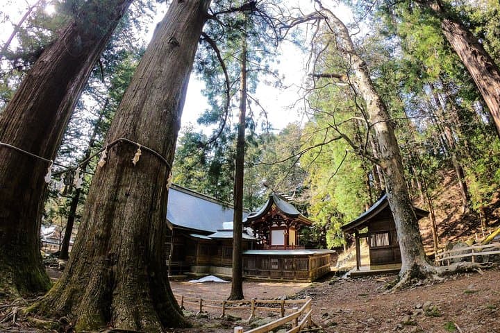 Mt Fuji Area Private Guided Tours in English-Nature up close, quiet, personal — photo 6