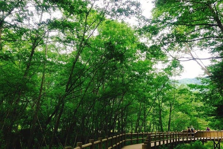 Kamikochi Mountain Day Trip from Tokyo — photo 5