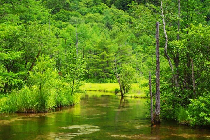 Kamikochi Mountain Day Trip from Tokyo — photo 9