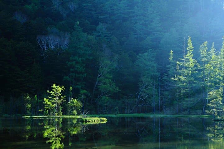 Kamikochi Mountain Day Trip from Tokyo — photo 12