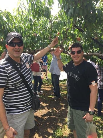 Okayama Day Trip: Nanko Sunflower Field and Peach Picking — photo 7
